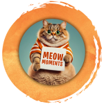 meow-moments